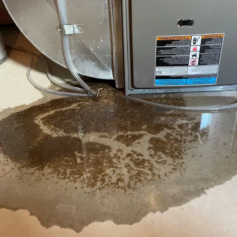 Pipe Burst and Leak Restoration in Greensburg, KY