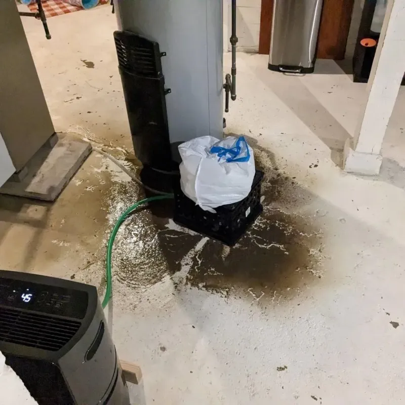 Sewage Backup Cleanup Service in Greensburg, KY